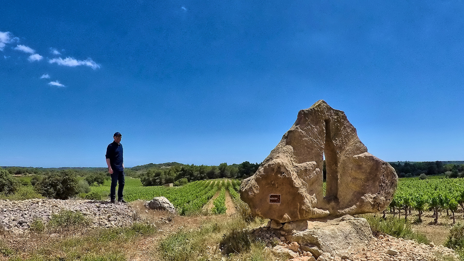 Homme devant dolmen et vignes