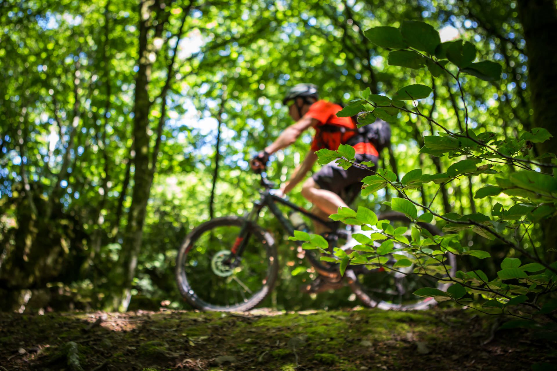 VTT dans la forêt de l'Escandorgue