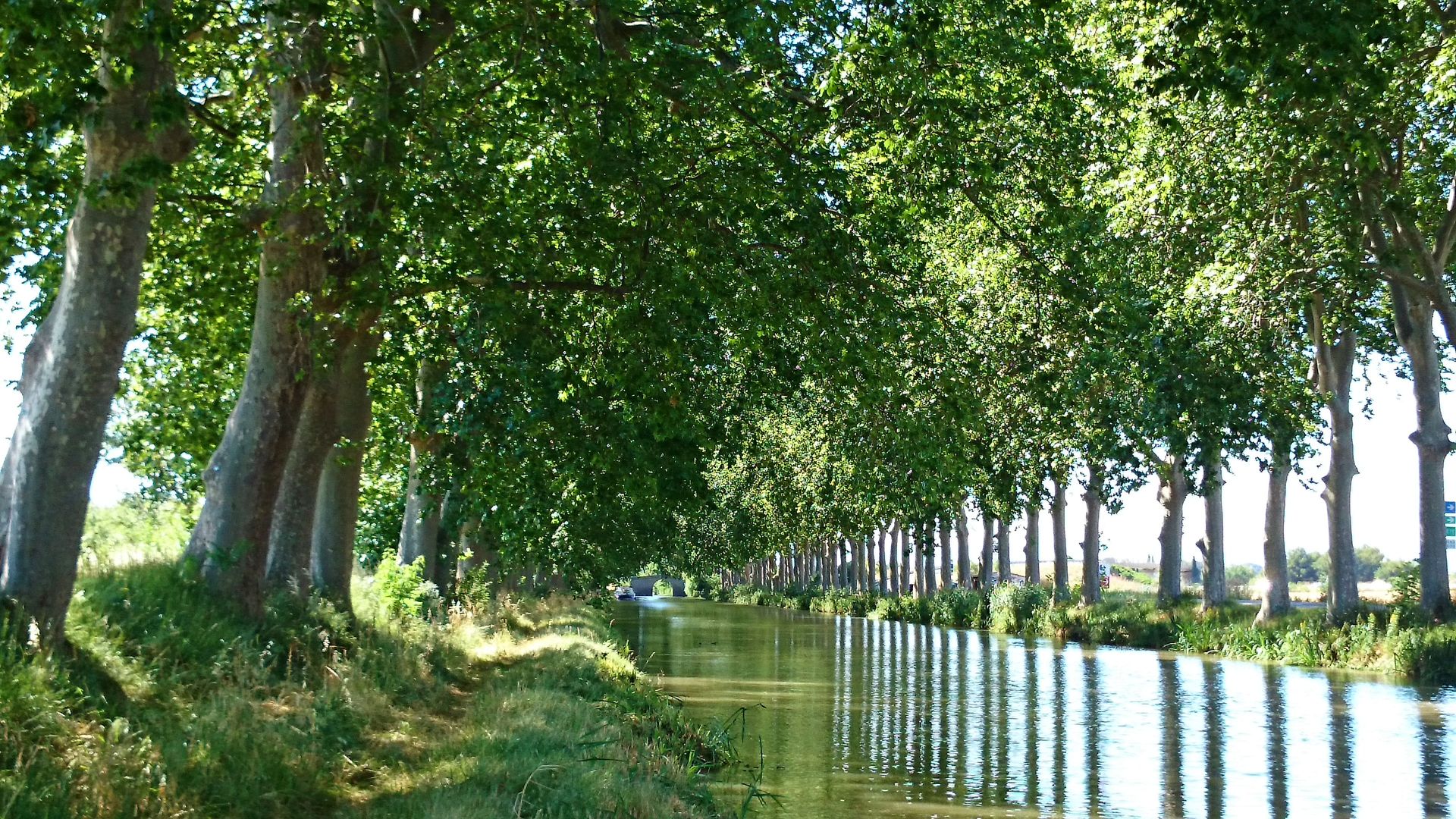 Vue du Canal du Midi au fil de l'eau