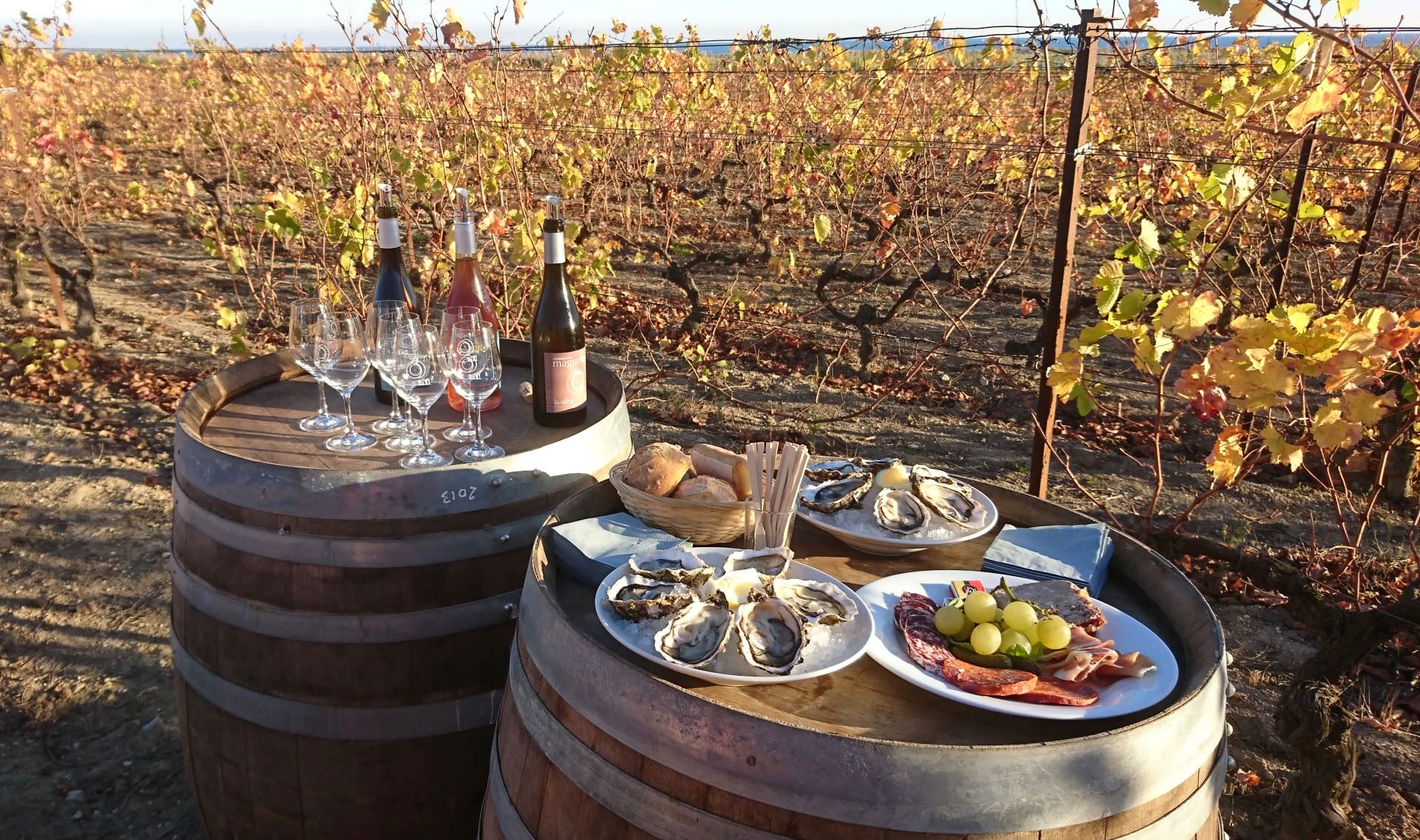 Dégustation vins et produits du terroir sur deux tonneaux au pied des vignes