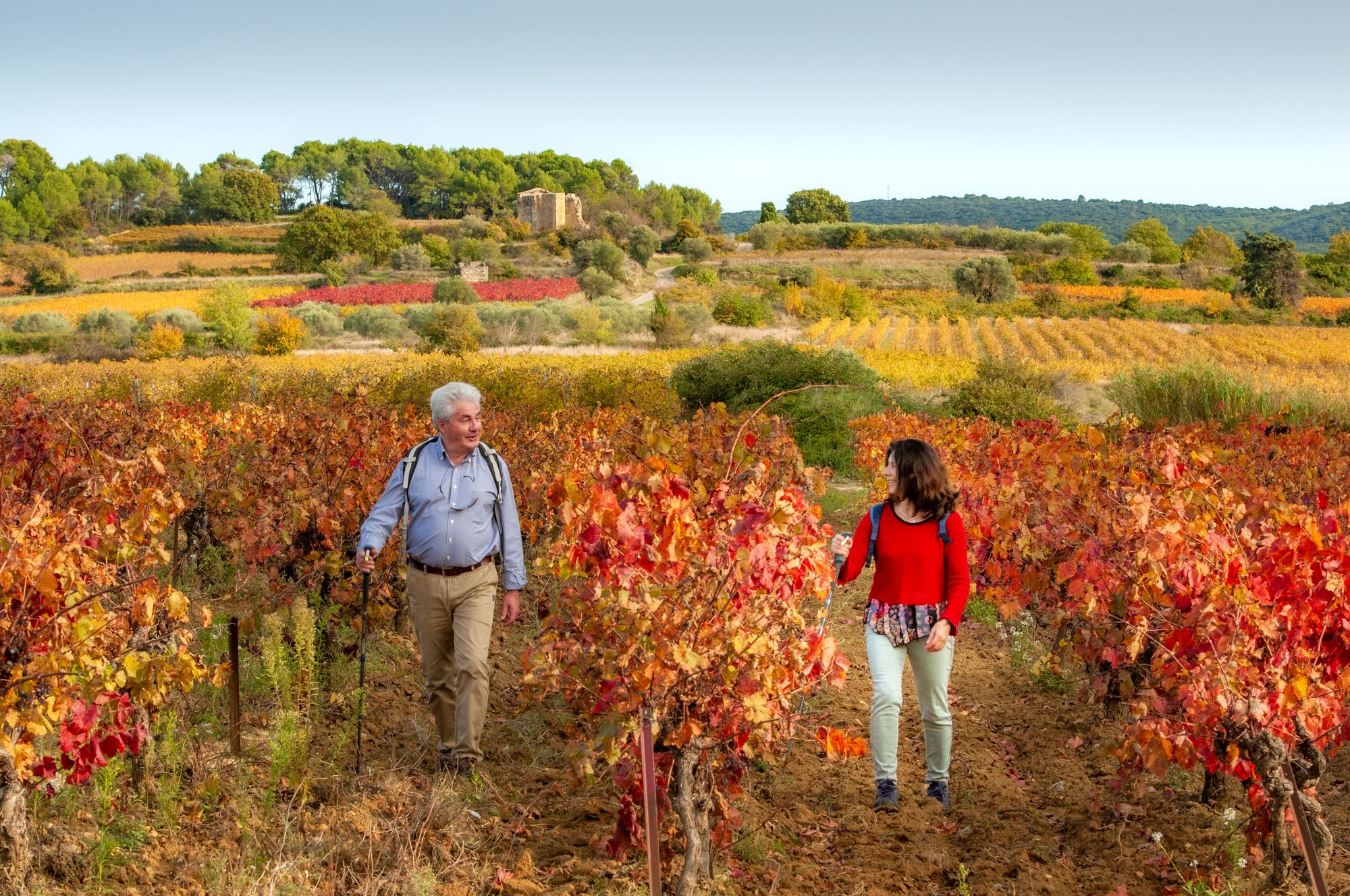 Un couple de quincas jeuniors qui randonne dans les vignes au Domaine de Rieussec ©Didier Cavailhes