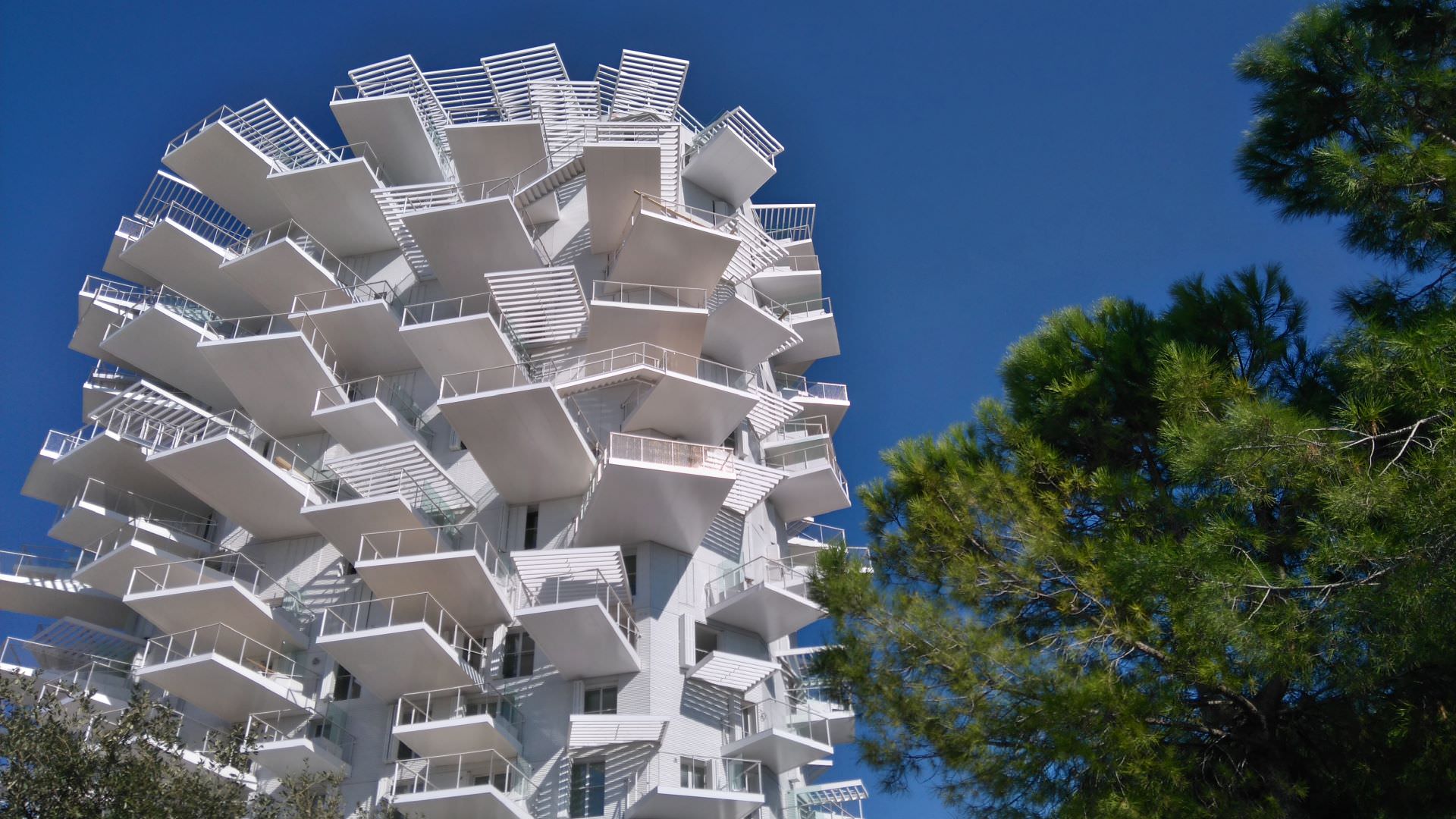 L'Arbre Blanc à Montpellier