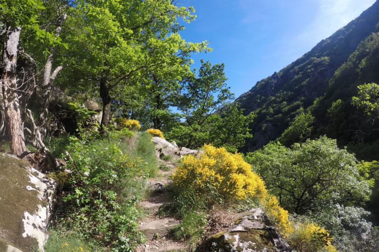 Sentier de rando dans le massif du Somail