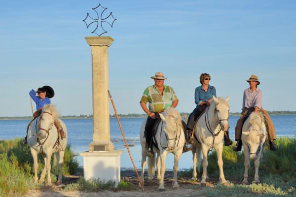 équitation hérault - Les manades en petite Camargue