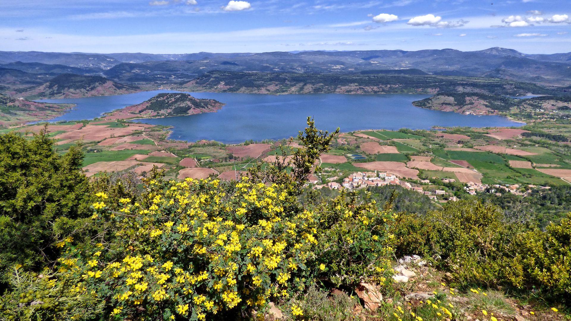 Panorama fleuri sur le lac du Salagou depuis le Mont Liausson