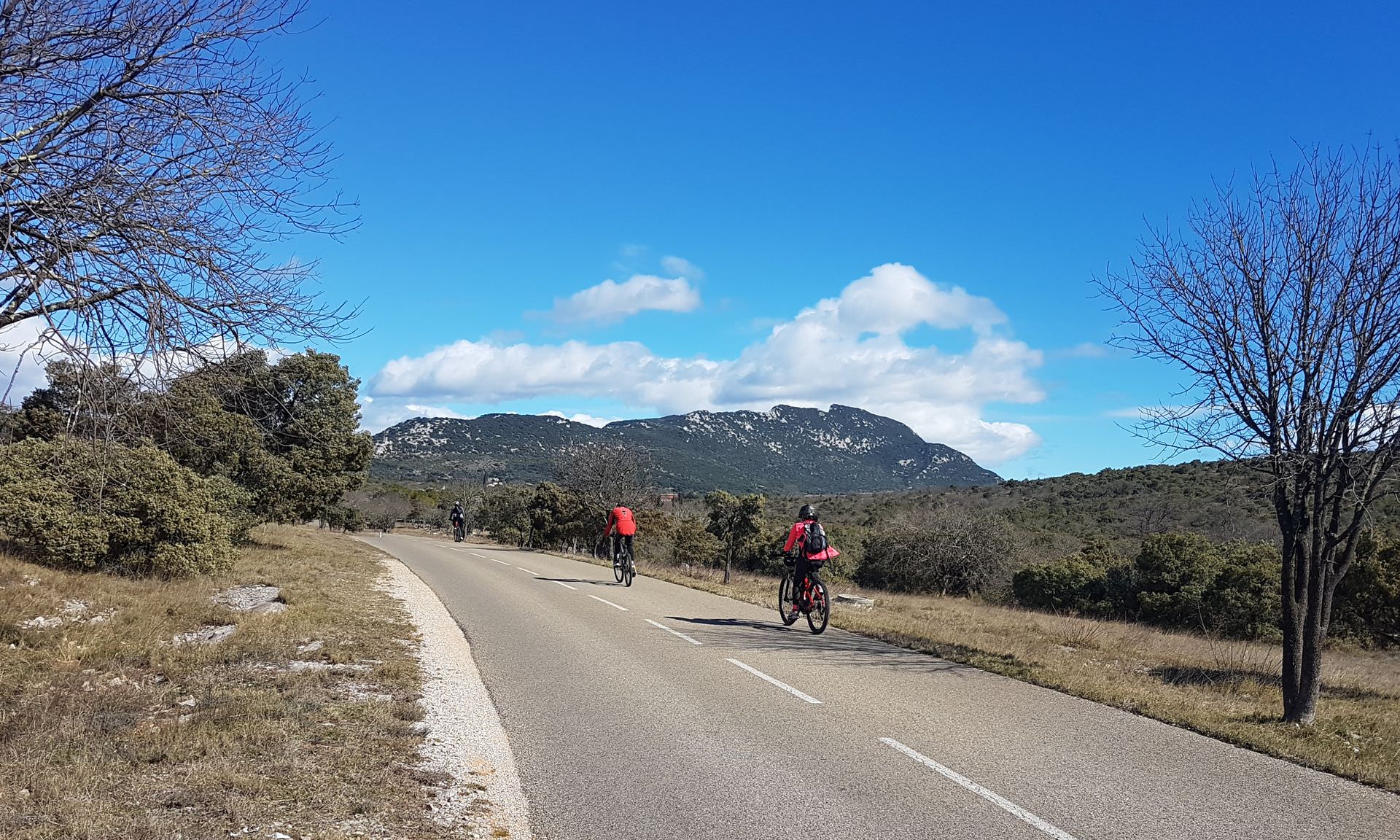 Cyclistes devant le Pic-Saint-Loup