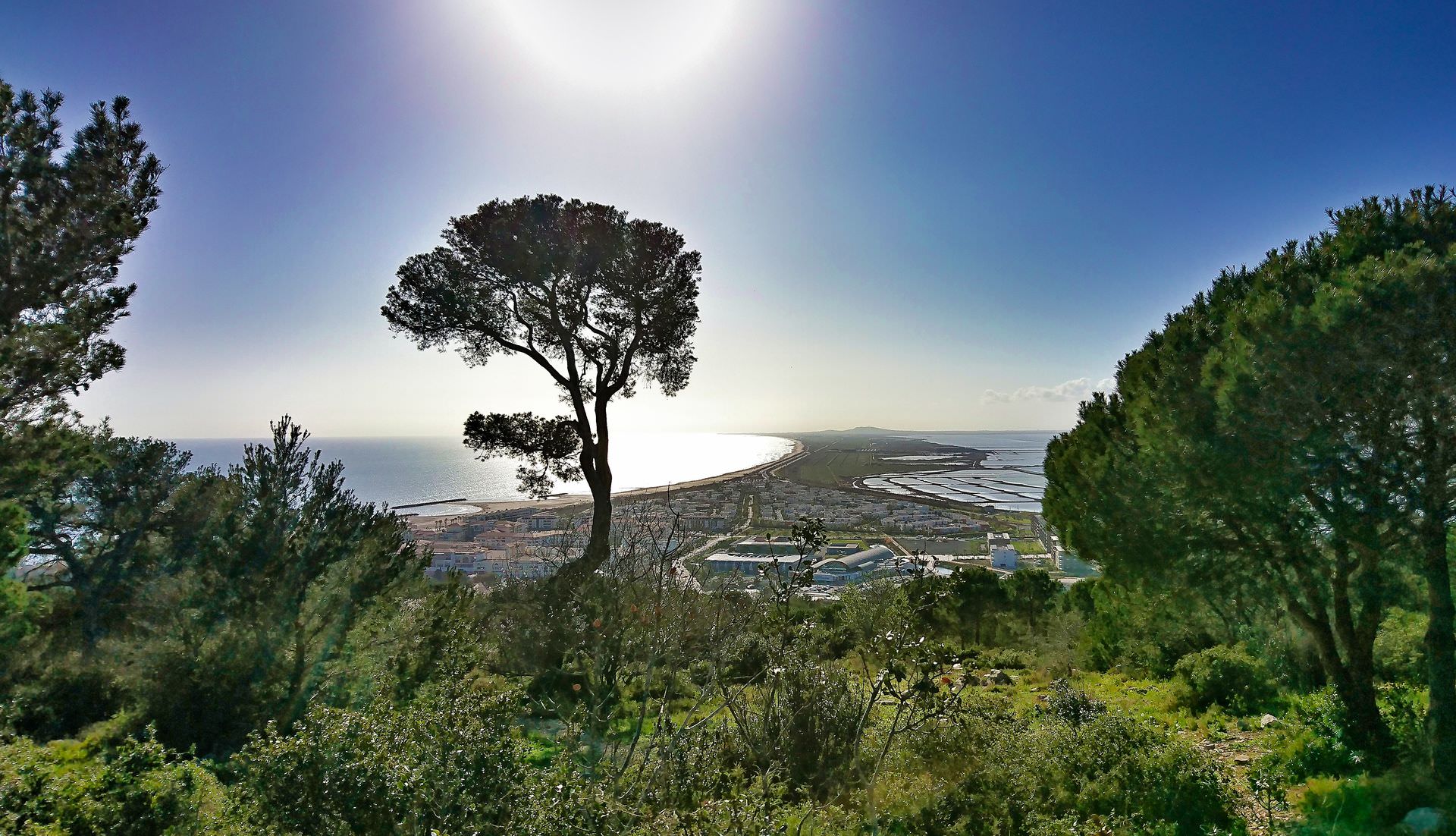 Vue panoramique du haut de la forêt des Pierres Blanches à Sète © Eric Brendle