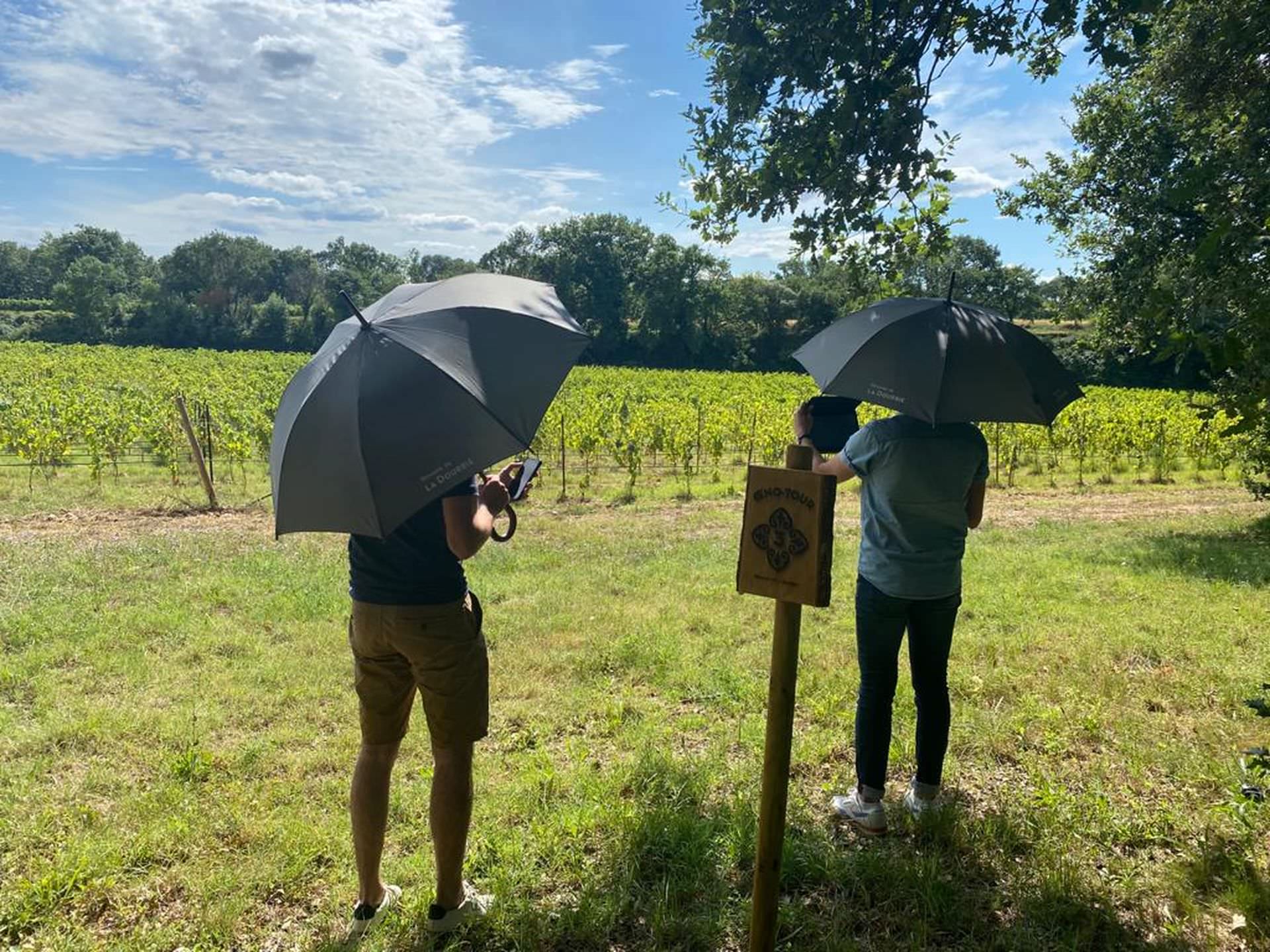 Oeno-tour interactif entre amis au Domaine de la Dourbie en Pays Coeur d'Hérault