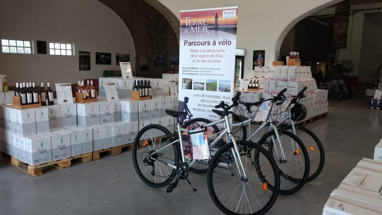 Les Caves Richemer louent des vélos à Marseillan Plage