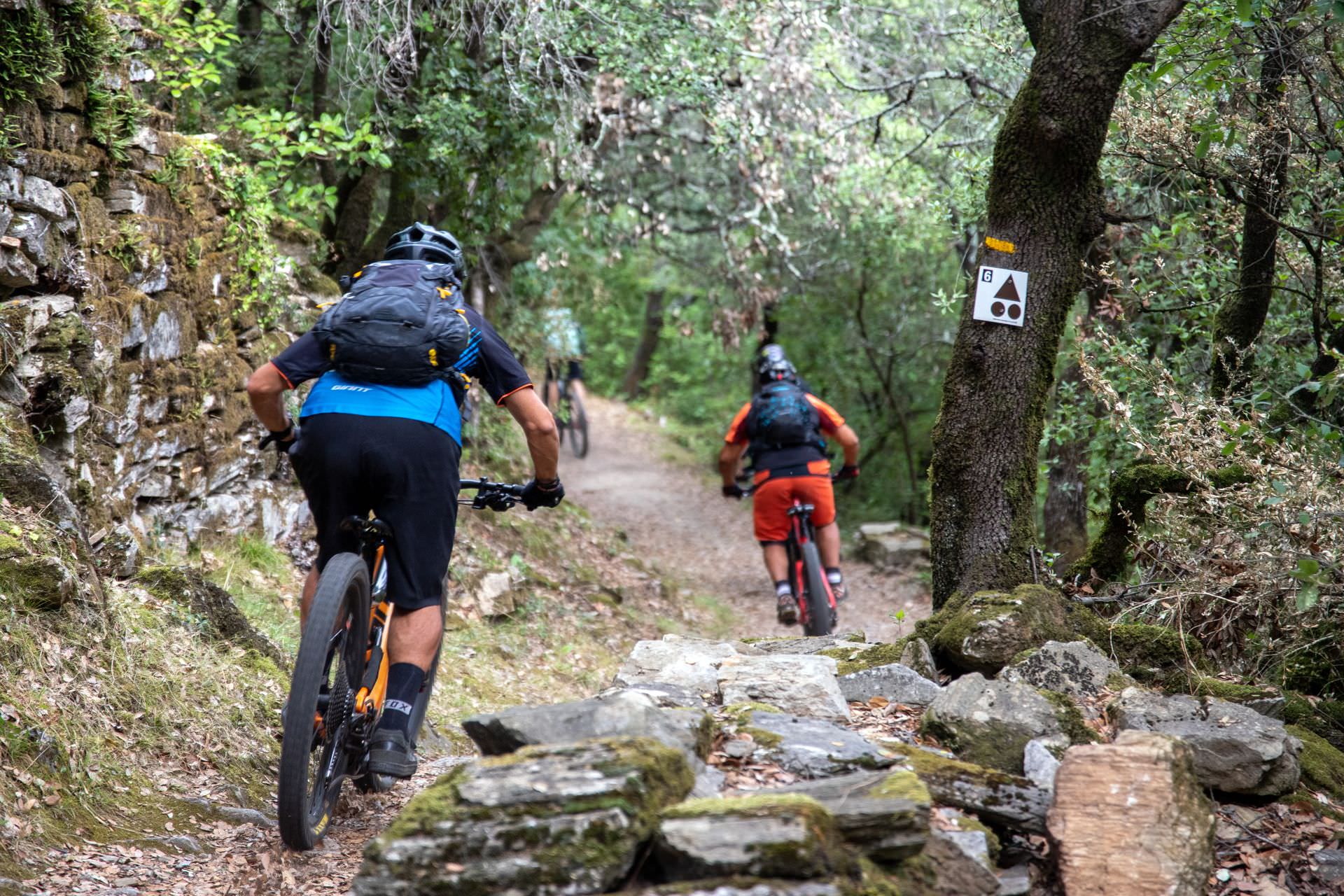 vététistes dans le forêt sur un circuit VTT-FFC