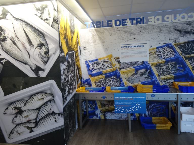 Belvédère de la Criée aux Poissons du Grau d'Agde