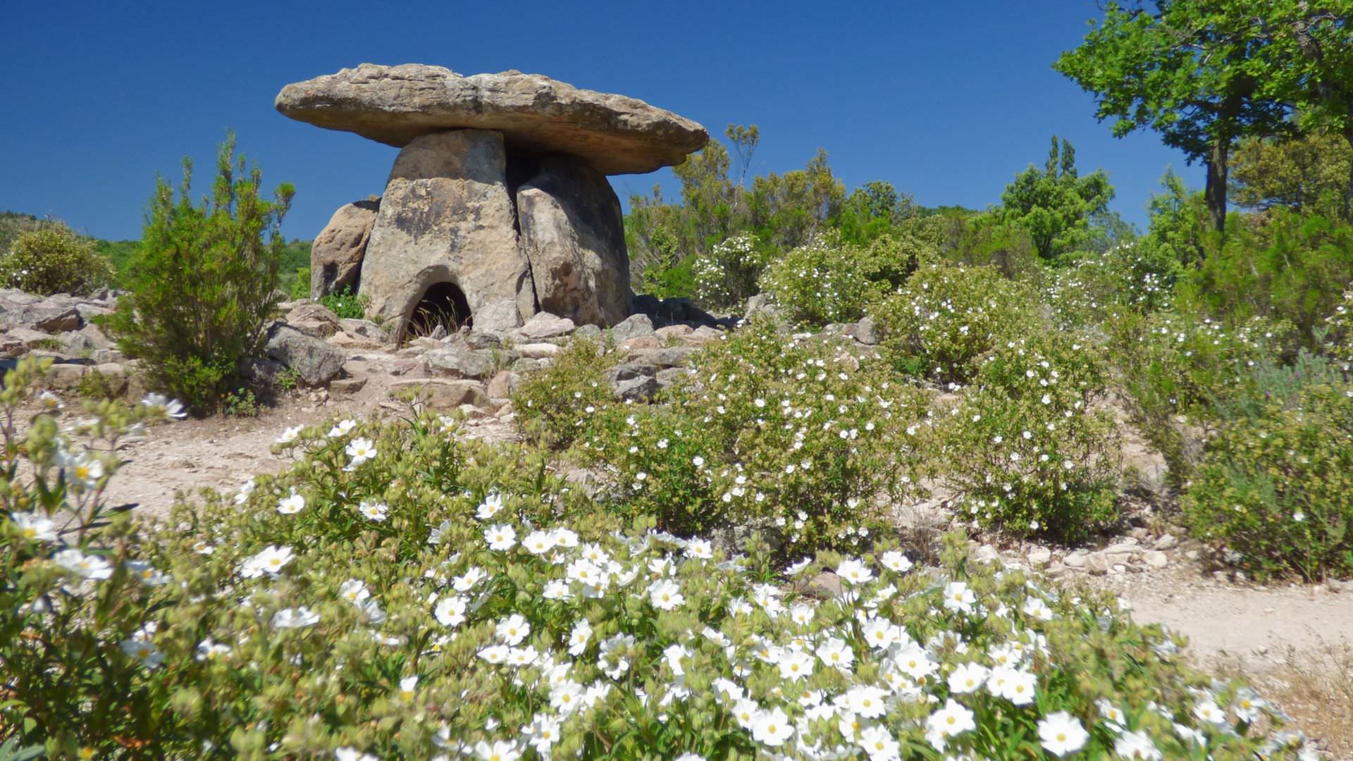 Le Dolmen de Coste Rouge à St-Michel de Grandmont