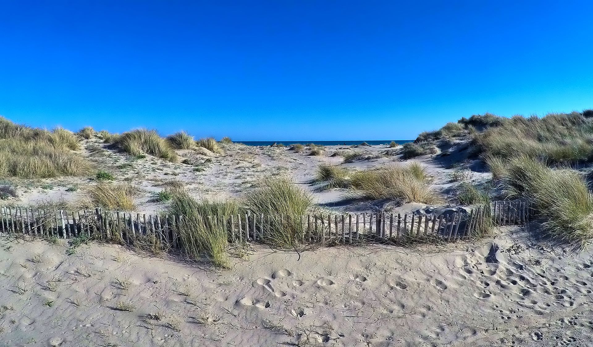 Dunes et plage à Vendres