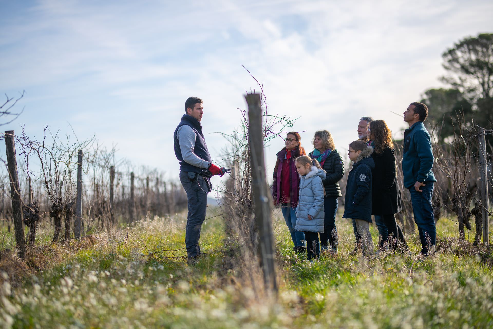 Château La Roque à Fontanès © Régis Domergue Démonstration de la taille de la vigne en famille au Château La Roque à Fontanès