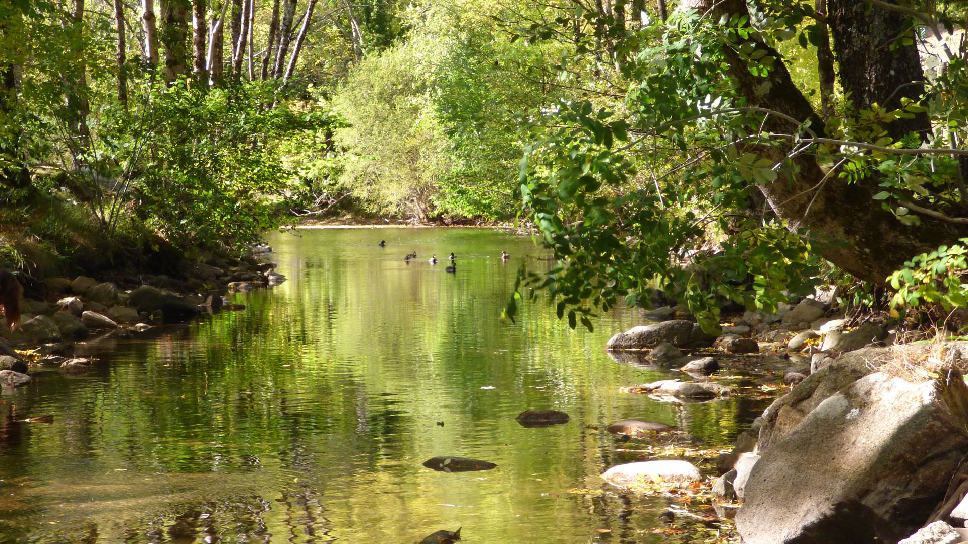 L'Agout en Haut-Languedoc