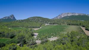 Le rocher de l'Hortus et le Pic Saint-Loup, deux géants qui se font face