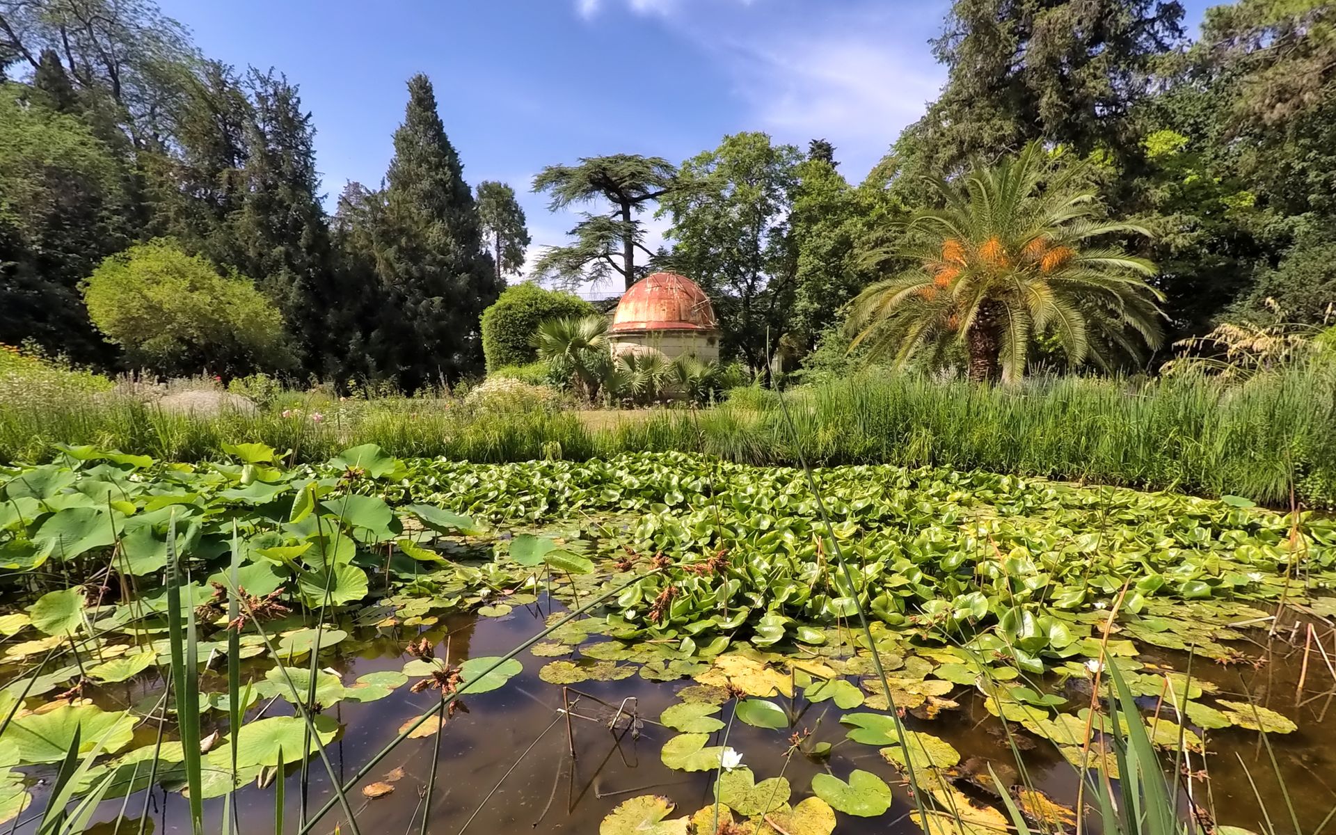 Jardin des Plantes de Montpellier