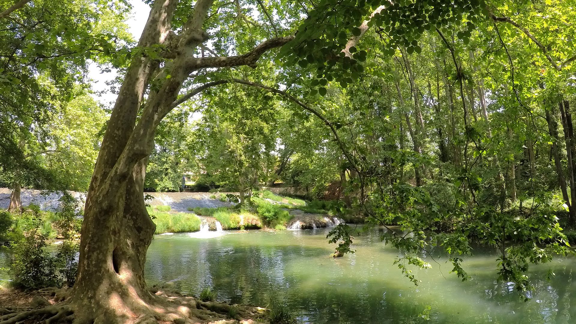 Zoo du Lunaret à Montpellier et balade au bord du Lez