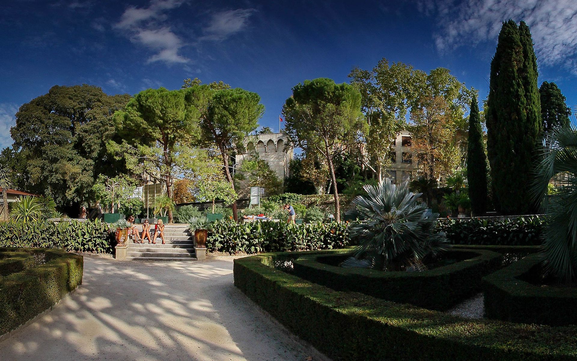 Jardin des plantes à Montpellier
