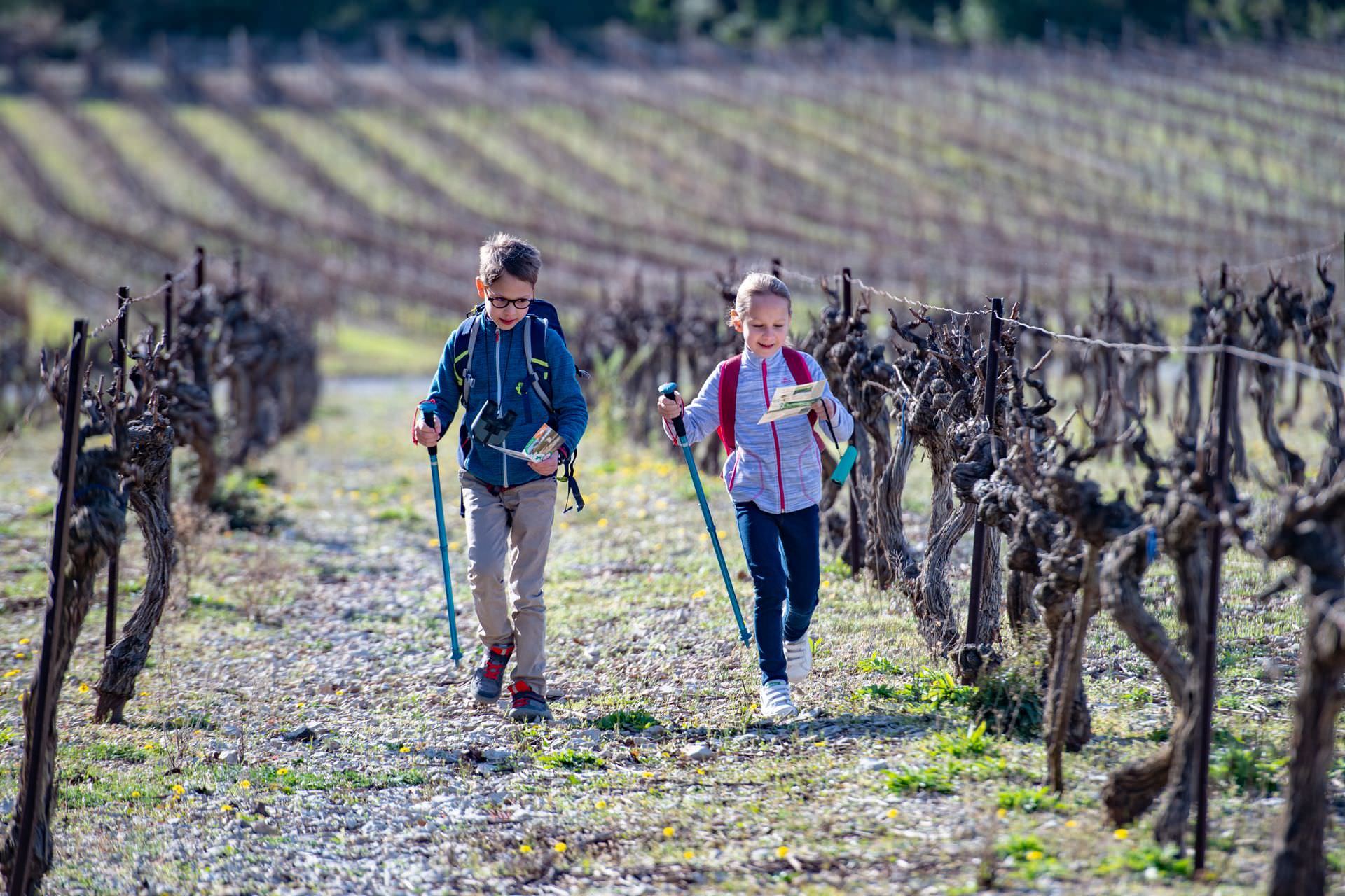 Jeu de piste en famille en hiver dans les vignes du Languedoc