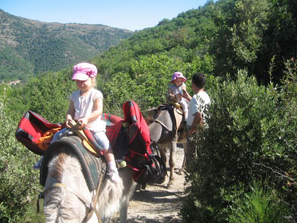 Randonnée avec ânes en famille