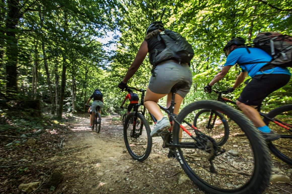 Sur la GTMC en tribu dans la forêt de l'Escandorgue