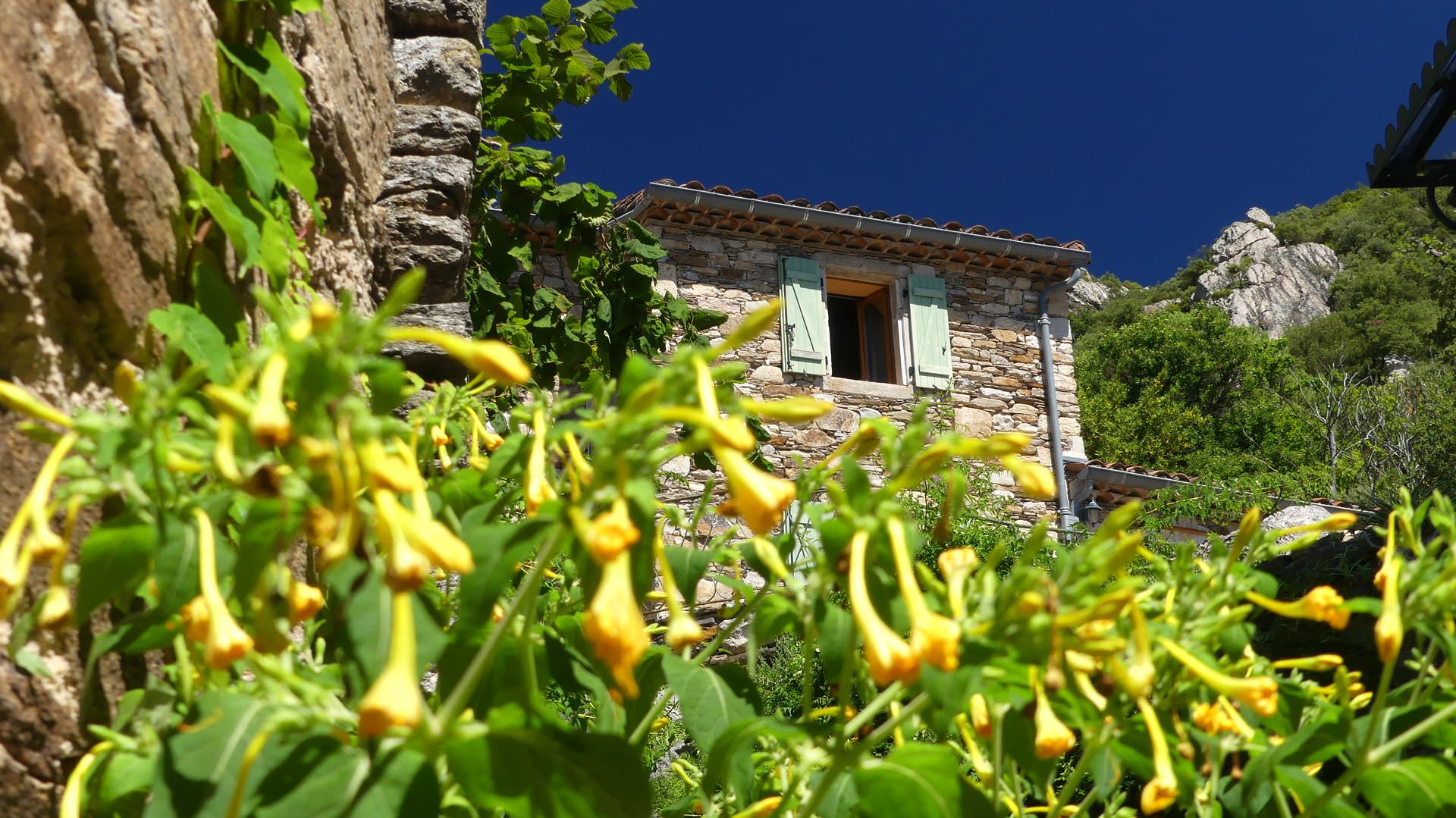 St-Martin de l'Arçon