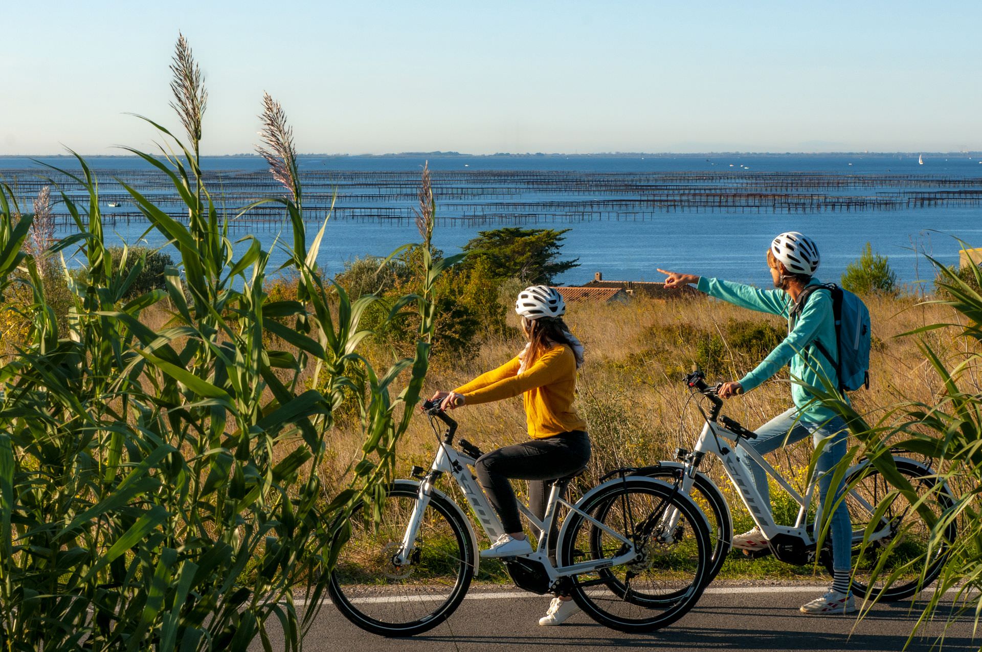 Balade à vélo autour de l'étang de Thau entre amis à Loupian