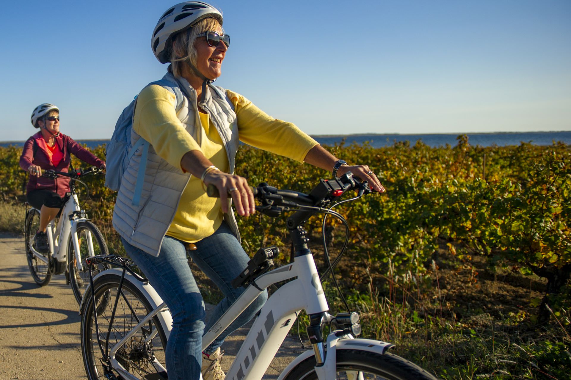 Vélos électrique dans le vignoble autour du bassin de Thau