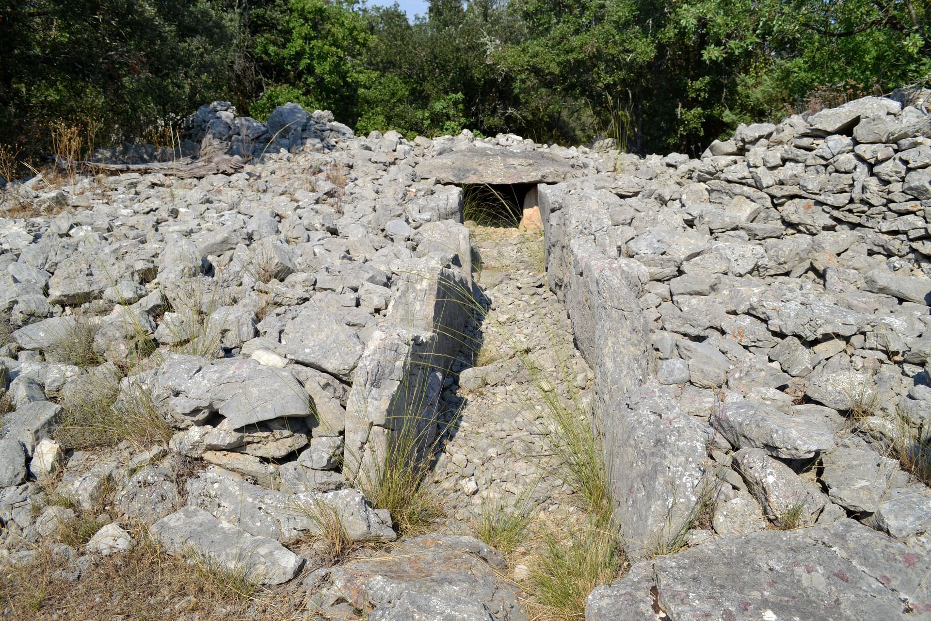 Le Dolmen de la Draille à Viols-le-Fort