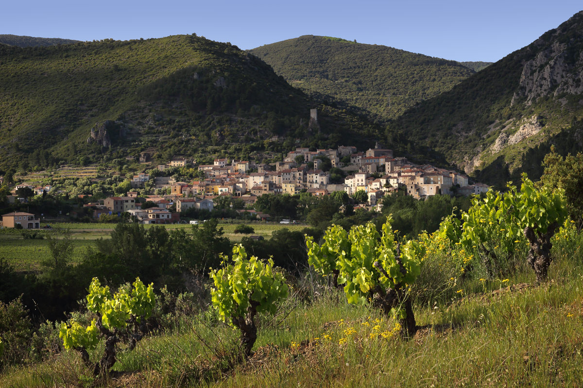 Roquebrun © Georges SOUCHE Vue sur Roquebrun et vignes en premier plan