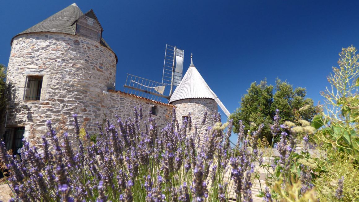 Patrimoine, moulin de faugères et lavandes