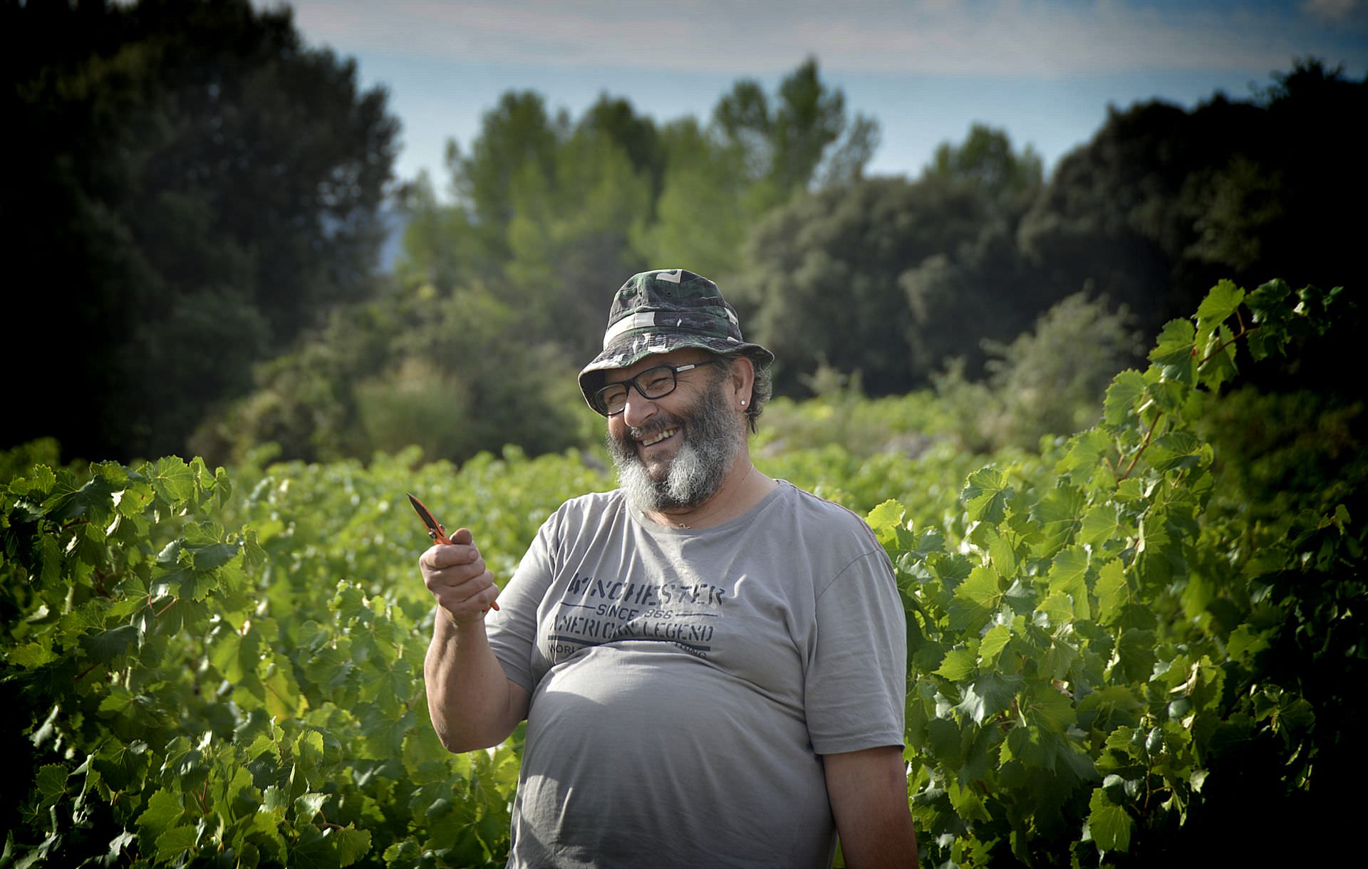 Vigneron très souriant sécateur en main dans les vignes