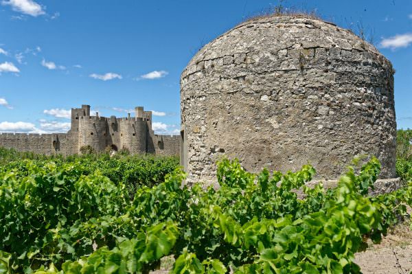 vue sur les vignes, la glacière et les remparts d'Aigues-Mortes