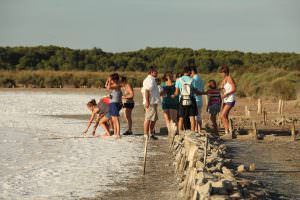 Groupe de Personnes en Balade découverte des anciens salins à Frontignan