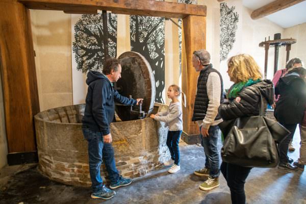 Visite Moulin à Huile en famille du Domaine de l'Oulivie