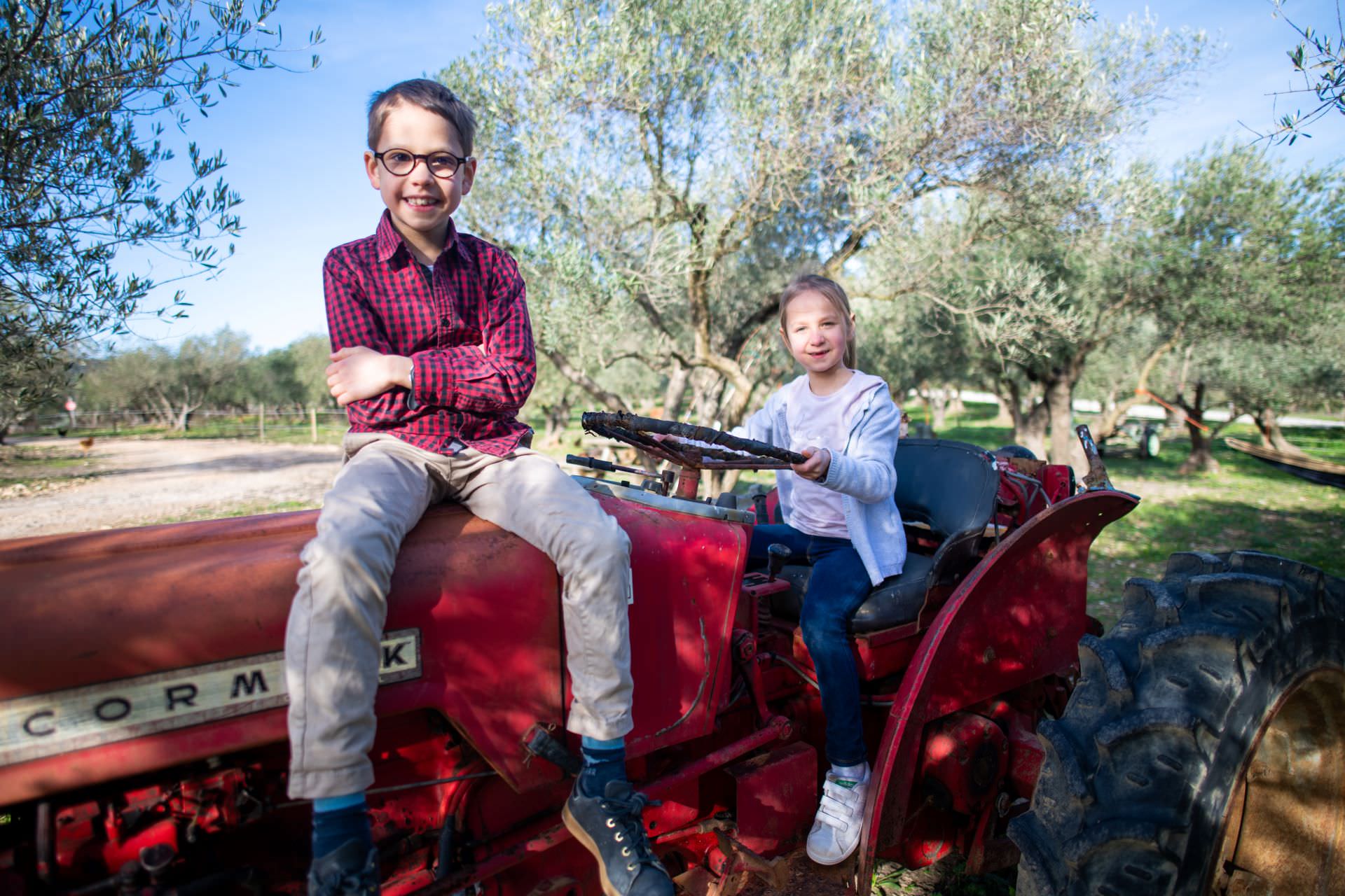 Enfants dans un champs d'olivier, assis sur un tracteur