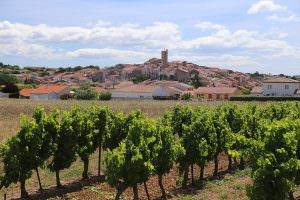 Vue du village de Servian en fond avec des vignes au premier plan