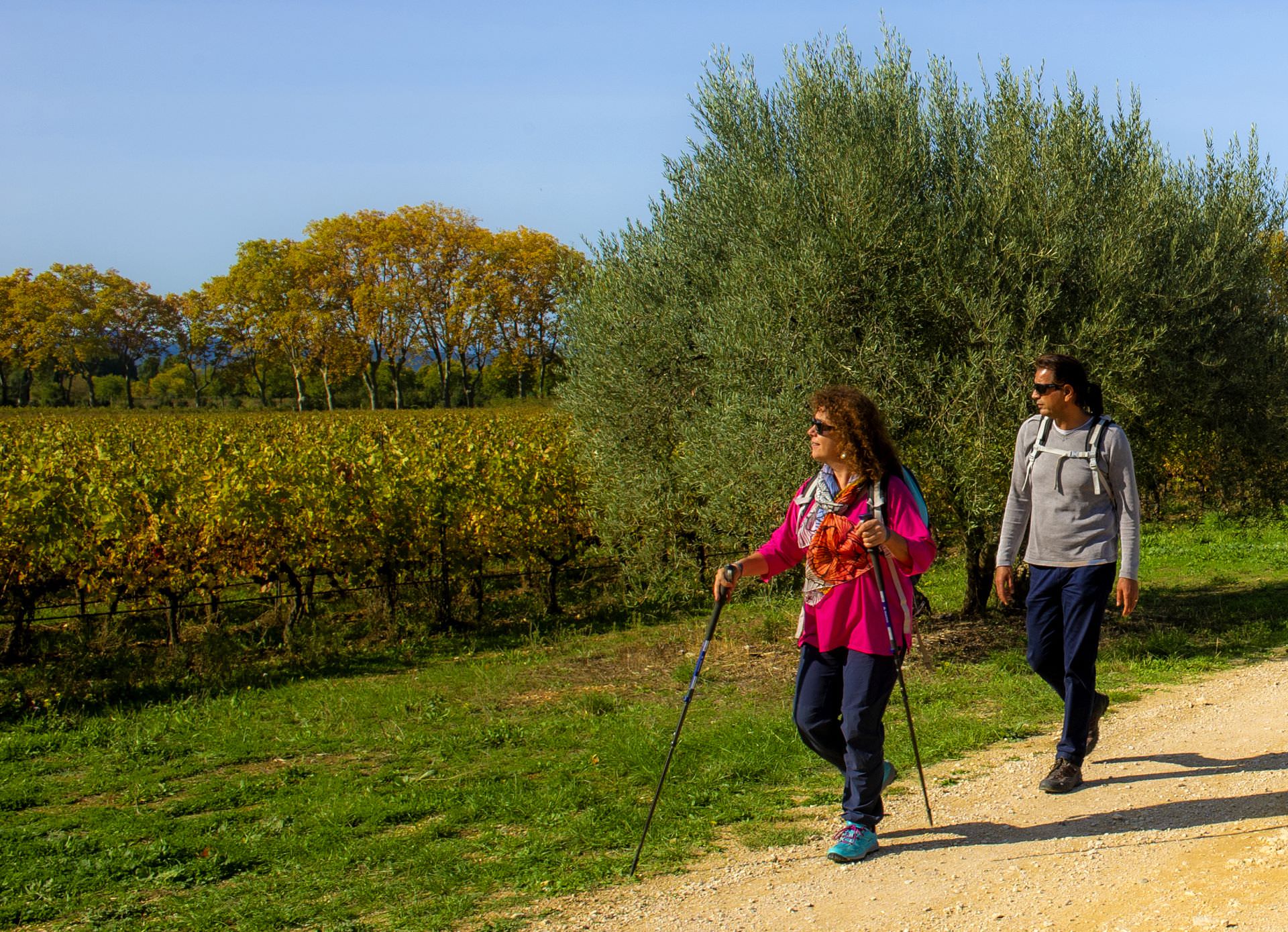 © D. Cavailhes_Newfoxstudio Couple de quinquas en rando dans les vignes