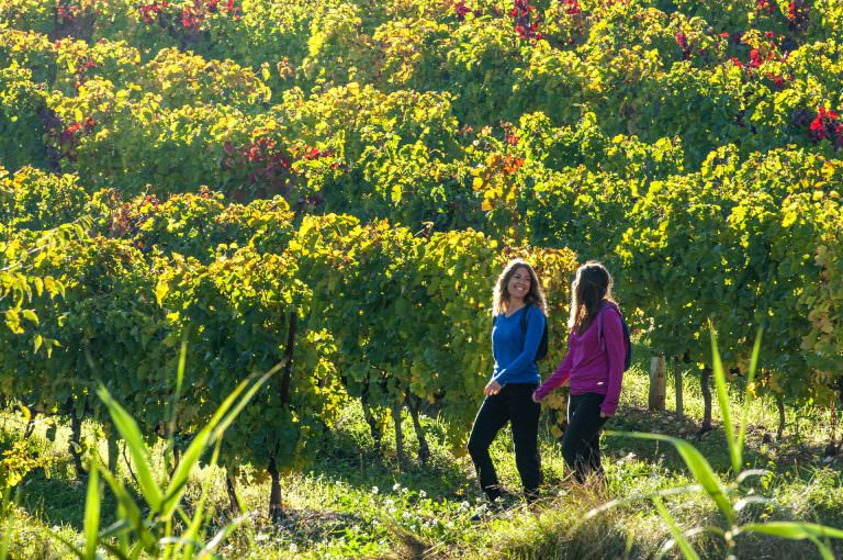 Copines dans les vignes