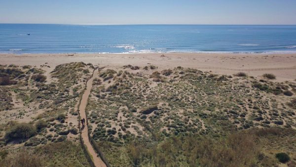 Vue aérienne des dunes et de la plage aux Orpellières