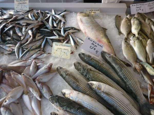 Etal de poissons au marché