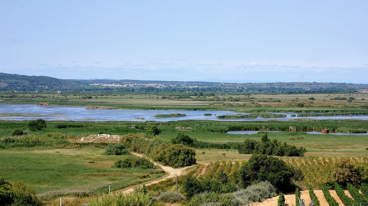 Vue sur l'étang de Vendres