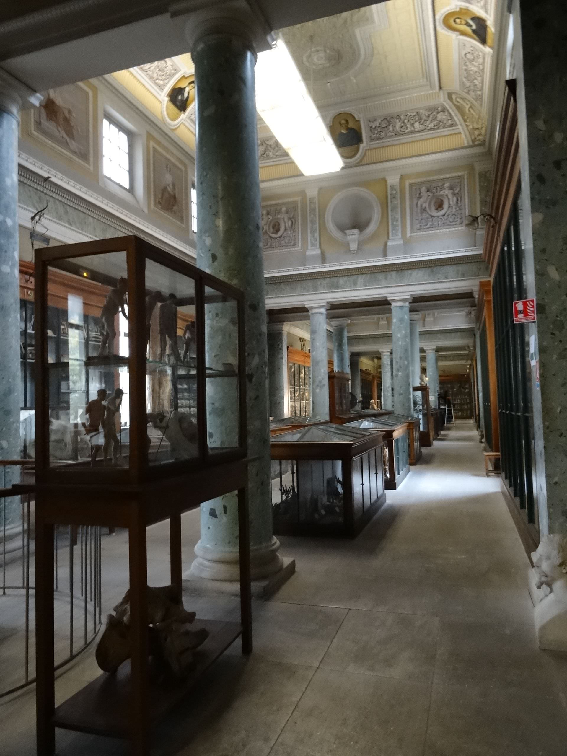 Conservatoire d'anatomie à Montpellier