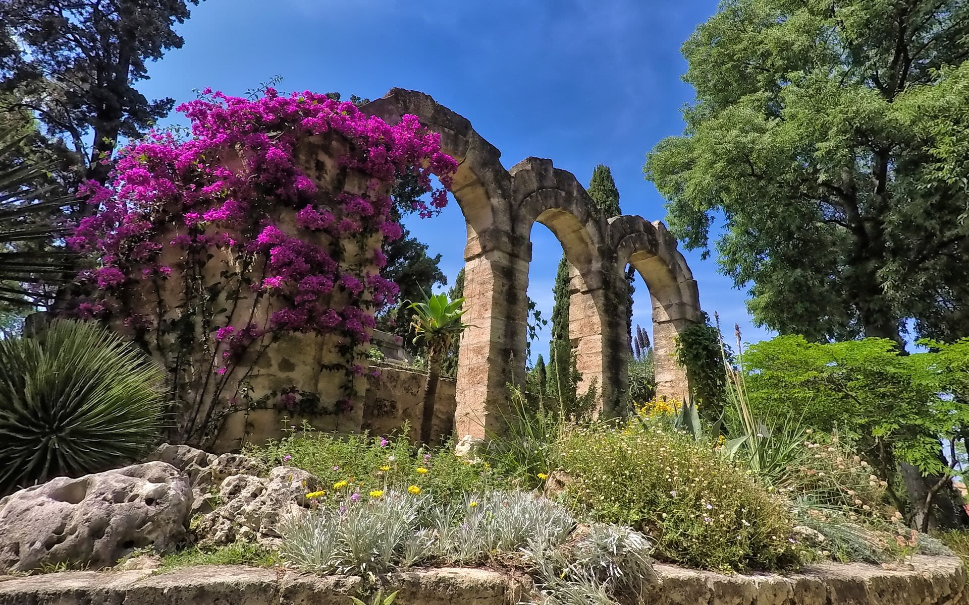 Jardin des Plantes à Montpellier