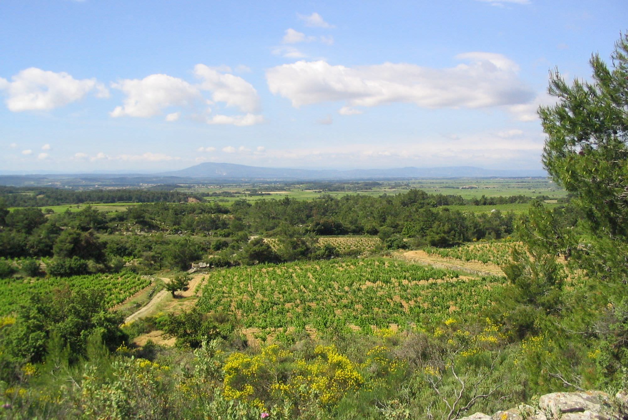 Les circuits de rando des Mourels