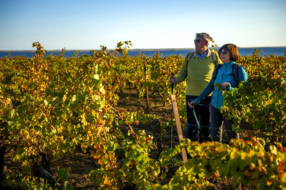 Un couple de jeuniors en train de randonner dans les vignes du Languedoc avec l'étang de Thau en toile de fond