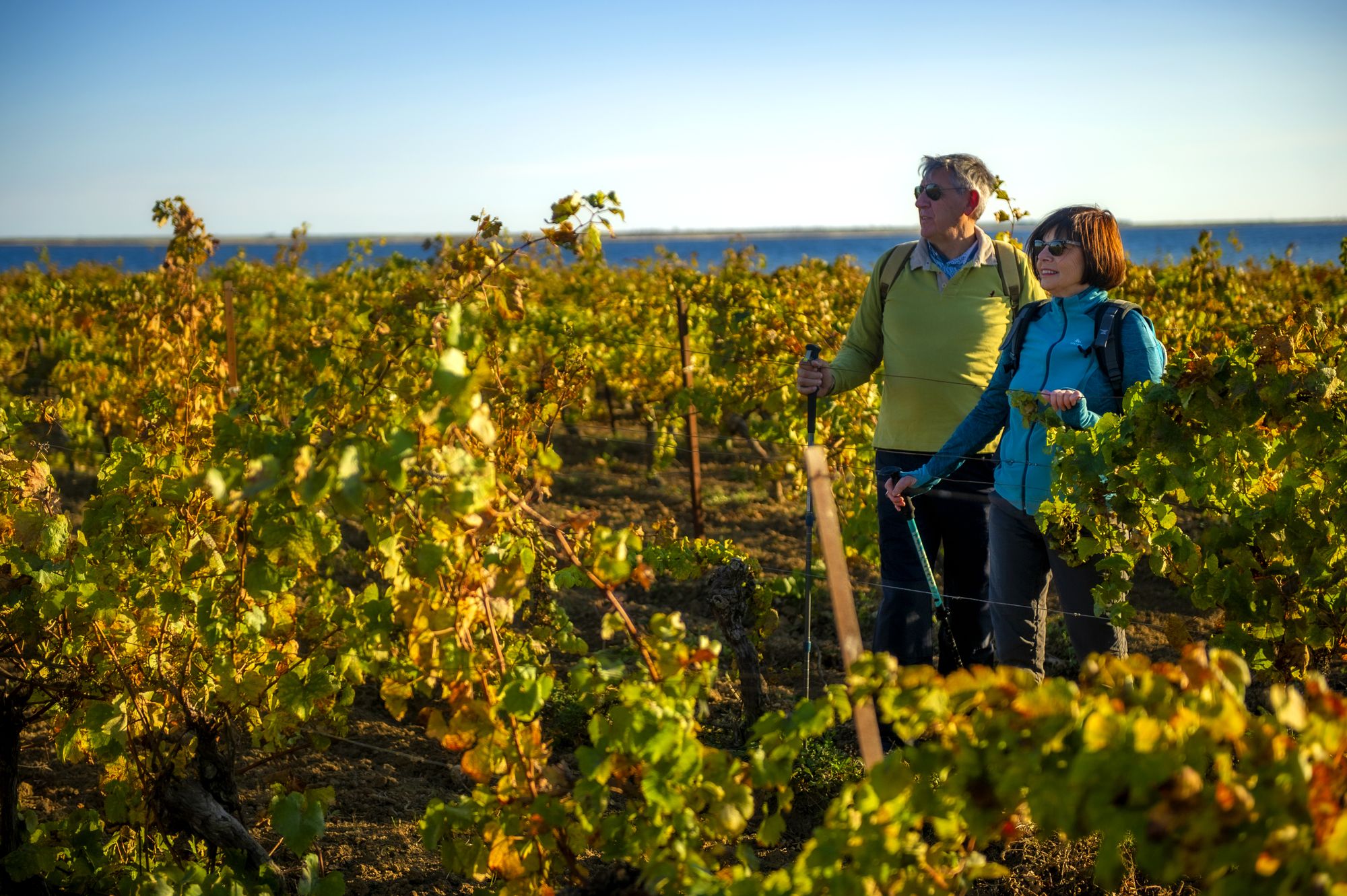 Un couple de jeuniors en train de randonner dans les vignes du Languedoc avec l'étang de Thau en toile de fond
