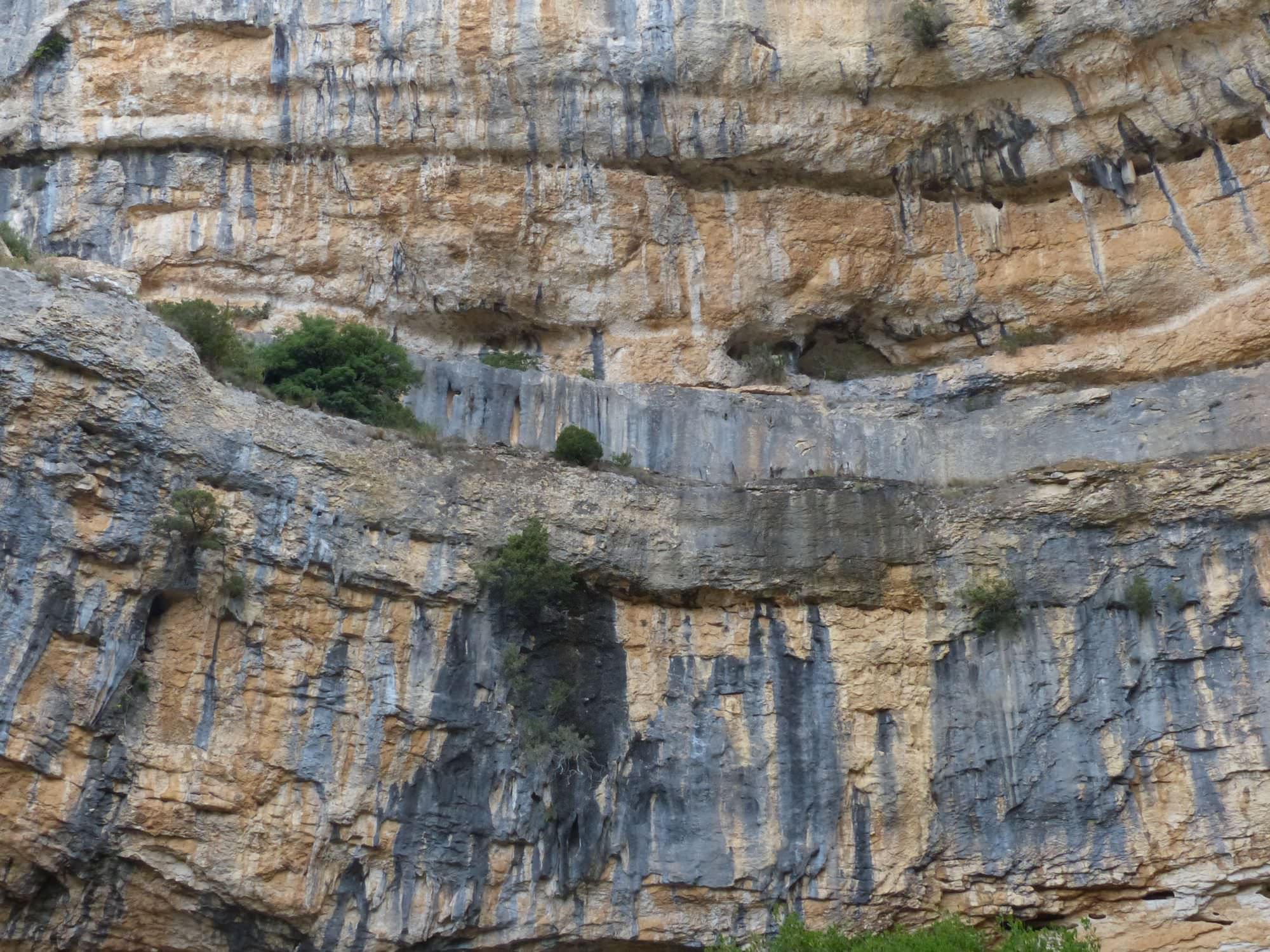 Dans le canyon de la Cesse