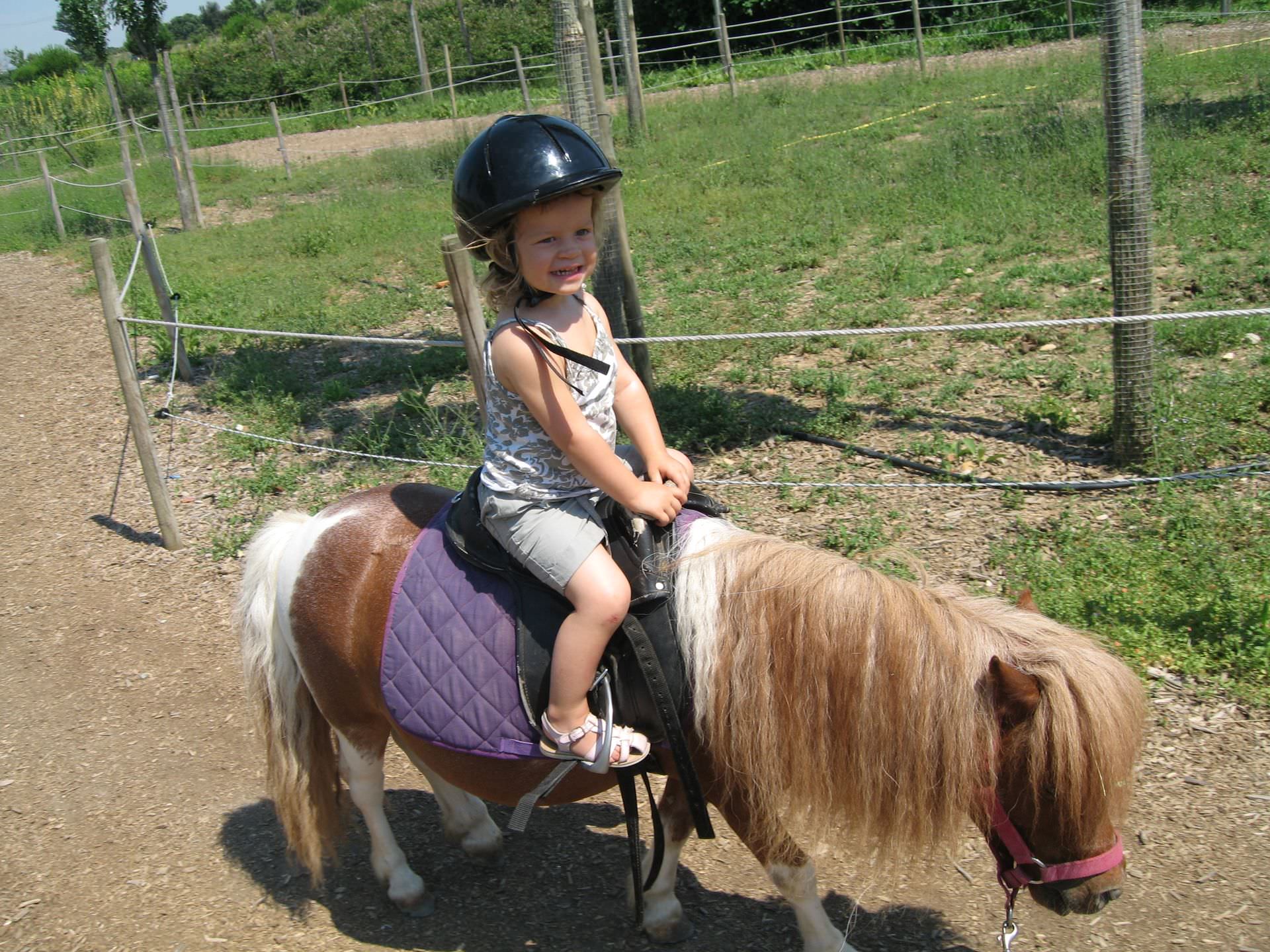 Petite fille en balade sur un poney, sortie en famille dans un parc animalier